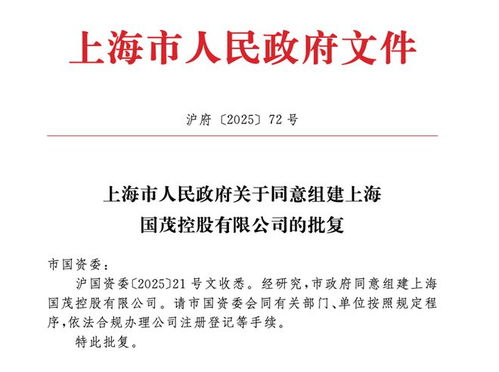 上海市政府批準成立注冊資本130億元新國企，聚焦計算機軟硬件技術研發